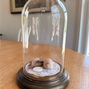 Decorative Glass Dome with Seashells